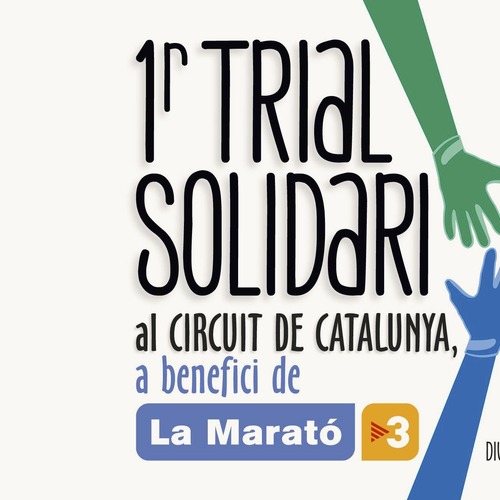 Trial Solidari